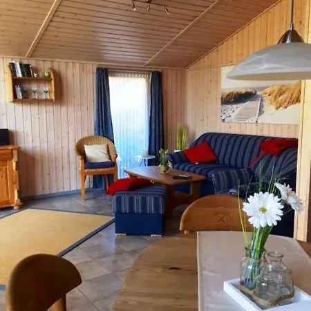 Haubentaucher 80 * Rechlin