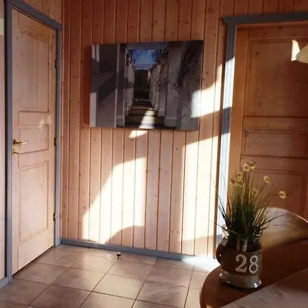 Haubentaucher 80